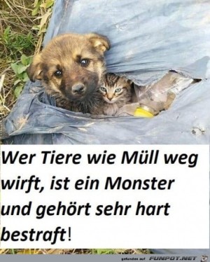 Monster.jpg auf www.funpot.net