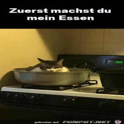 Zuerst-machst-du-mein-Essen.jpg von Hira