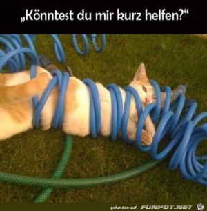 Hilf-mir-mal.jpg auf www.funpot.net