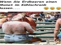 Erdbeeren lnger im Khlschrank gelassen