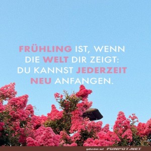 herz-Bild: Frühlingszitat und blühende Natur