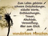 Leben: Bunt gemischt mit Dandelions