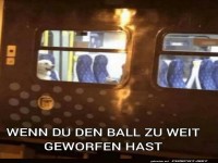 Der Hund auf Weltreise im Zug!