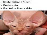 Katzenfrust: Keine Haare in der Milch?
