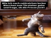 Kater mit Biermut: Trsteher-Edition