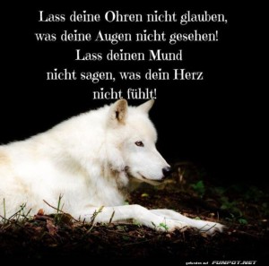 Weiser-Wolf-und-poetische-Weisheit.jpg auf www.funpot.net