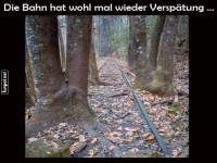 Waldabenteuer statt Zugfahrt!