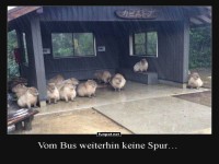 Kleine Wartepause im Regen