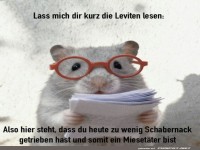 Akten-Maus: Der strenge Blick der Gerechtigkeit