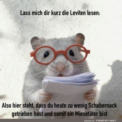Akten-Maus:-Der-strenge-Blick-der-Gerechtigkeit.jpg von Gabriel