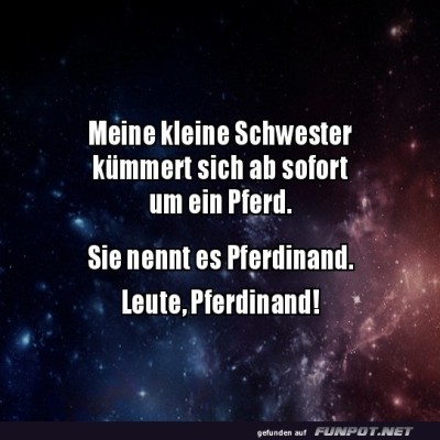 Pferdinand:-Das-galaktische-Pferdeabenteuer!.jpg von Josie-96