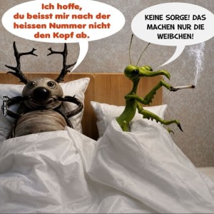 Ein-Bett,-Zwei-Insekten,-Keine-Kopflosigkeit!.jpg von Talia1999