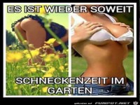 es ist wieder soweit