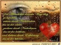 Der Mensch hat dreierlei Wege...