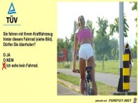 F�hrerscheinfrage
