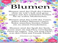 blumen 2018