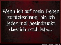 Wenn ich auf mein Leben