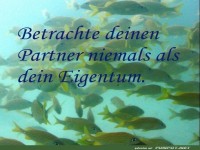 Betrachte deinen Partner