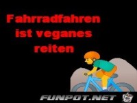 Veganes Reiten