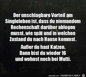 Vorteil-am-Single-Leben.jpg auf www.funpot.net