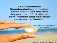 Die sch�nsten Begebenheiten im Leben...