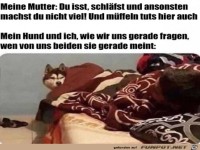 Du machst nichts