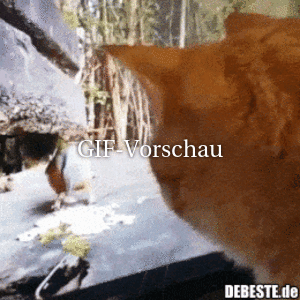 wo ist der Vogel?