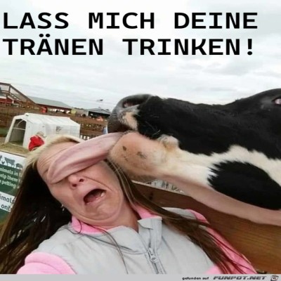 Gesicht-gewaschen.jpg von Lasse