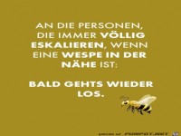 Es geht bald wieder los mit den Wespen