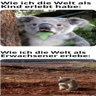 Die-Welt-als-Kind-und-heute.jpg von Heather