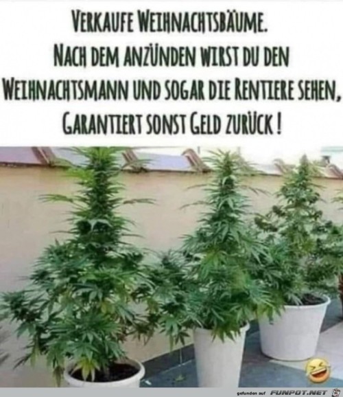 Super-Weihnachtsbäume.jpg auf www.funpot.net