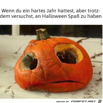 Ein-hartes-Jahr.jpg von Alya