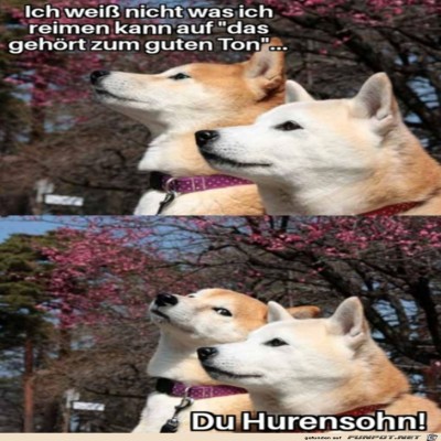 Was-reimt-sich-darauf-nur.jpg von Alya
