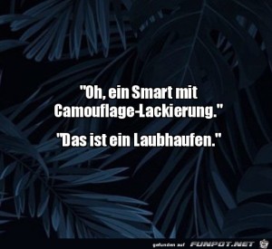 Ein-Smart.jpg auf www.funpot.net