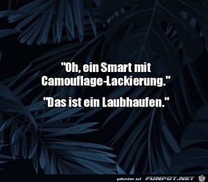 fun-Bild: Ein Smart