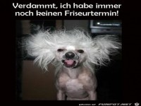 Schlimme Frisur