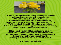 der mensch n�mlich