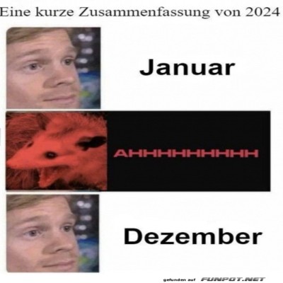 Zusammenfassung-von-2024.jpg von Chaosmaus