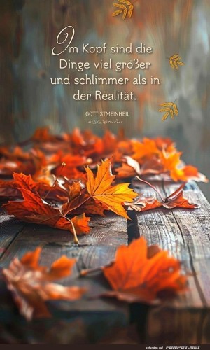 Im-Kopf-sind-die-Dinge-viel-Gr��er.jpg auf www.funpot.net