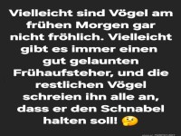 Morgendliche Gedanken der Vögel