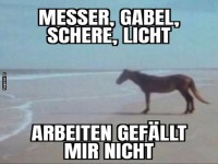 Pferd am Strand: Nur kein Stress!