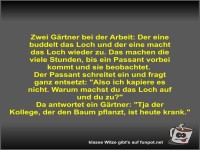 Zwei G�rtner bei der Arbeit