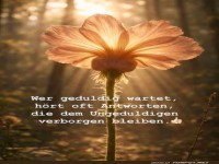 Die Weisheit der Blume