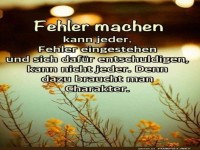 Wer ist der Fehler-Profi hier?