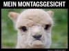 weiter