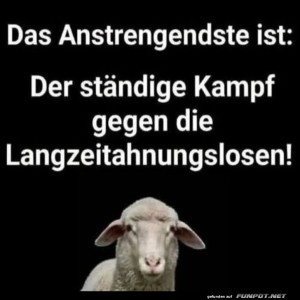 Schaf-des-ewigen-Kampfs.jpg von SexOnTheBeach