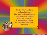 Die Voegel der Sorge