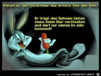 warum ist der Osterhase das �rmste Tier
