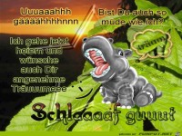 Schlaaaaf guuut