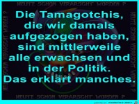 Was aus den Tamagotchis geworden ist